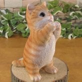 猫　置物 リアル　シンお願いキャット　１　チャトラ　ネコ　動物オブジェ　ガーデン　オーナメント　店舗　カウンター　装飾　オブジェ　インテリア　玄関先　庭　ねこ好きさん人気ギフト　動物人気ギフト　クリスマスプレゼント　お誕生日祝い　母の日人気　父の日人気　敬老の日人気