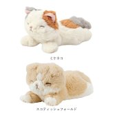 ぬいぐるみ かわいい 通販 りぶはあと 動物 アニマル 猫 犬 ふわふわ 癒し リストレスト マスコット 柴犬 トイプードル チワワ ビションフリーゼ シュナウザー パンダ 三毛猫 ミケネコ カワウソ ペンギン 癒しグッズ 手のひらサイズ ギフト 雑貨