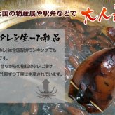 いかめし 森町 味噌味 2尾入×4袋入 ポスト投函 メール便 送料無料