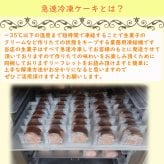 クリスマス乳製品アレルギー対応4号12センチ（2人分）☆ご予約受付中 2026年