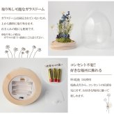 名入れ LEDフラワー マーガレット ガラスドーム タマゴ型 フラワーギフト 花ギフト 間接照明 インテリア プレゼント 誕生日 記念日 母の日 お祝い 女性