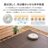 夏ラグ 夏用カーペット 洗える い草風 カーペット ライアン 本間 1帖 1畳 PP ラグ ビニール風 上敷 ござ 畳の保護