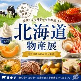 メーカー直送 望月製麺所 北海道バラエティラーメン食べ比べセット（8食）FNO3  26-6019-17 贈答品 自宅用 プレゼント 人気  お誕生日 北海道発祥のラーメンサラダや登別の閻魔ラーメン等北海道胃の個性豊かなラーメンセット
