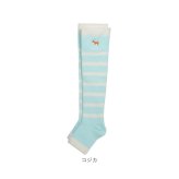 着圧ソックス 通販 日本製 ルームソックス かわいい レディース ナイトソックス もこもこソックス おやすみソックス レッグウェア おやすみ靴下 動物 刺繍 ハイソックス 可愛い あったかグッズ 眠りのおまじない ボーダー柄 ギフト 贈り物
