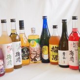豪華梅酒10本セット(芋焼酎仕込五代梅酒(鹿児島) 宇治玉露梅酒(京都) 赤しそ赤い梅酒(和歌山) 樽熟梅酒天空の月(大分) 鍛高譚梅酒 梅酒 鶯の杜(奈良) 芳醇ブランデー仕立チョーヤ梅酒 蜂蜜梅酒(和歌山) 無添加上等梅酒(鹿児島) 緑茶梅酒(和歌山