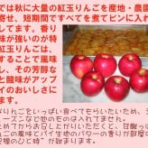 紅玉りんごのアップルパイ 【誕生日 バースデー 人気アップルパイ バースデーケーキ 誕生日ギフト 昔ながらの甘酸っぱ〜いアップルパイ バレンタインデー ホワイトデー 母の日 父の日 クリスマス クリスマスケーキ】
