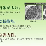 夏ラグ 夏用カーペット 純国産 い草花ござカーペット 『五風』 江戸間2畳(約174×174cm）