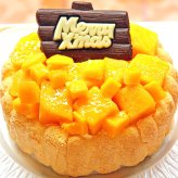 クリスマスマンゴーアイスケーキ【4～7号】 ［クリスマスケーキ クリスマスデコレーション クリスマスアイスケーキ］