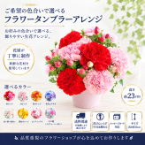 ご希望の色合いで選べる フラワータンブラーアレンジ 高さ23cm 生花 アレンジメント 花ギフト フラワーギフト お祝い 誕生日 記念日 お供え お悔やみ そのまま飾れる 手作り 鮮度重視 送料別途【北海道・沖縄・九州・四国・中国・離島は配送不可】