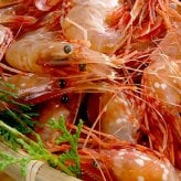 ボタンエビ 活 〆 オス 小サイズ 1kg 秋 北海道 噴火湾産 送料無料※沖縄は送料別途加算