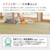 夏ラグ 夏用カーペット 洗える い草風 カーペット 涼風 りょうふう 団地間 6帖 6畳 PP ラグ ござ ビニール風 上敷き 畳の保護 畳替え 国産 新生活