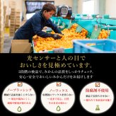 みかん 10kg 贈答用 秀品 特選 送料無料 和歌山 M L 伊藤農園 大玉 中玉 手詰め 有田みかん 温州みかん 約60個～80個 果物 柑橘出産内祝い 贈答 ギフト 誕生日 結婚祝い 出産祝い 内祝い ギフト