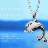 ハワイアンジュエリー シルバー ネックレス ドルフィン イルカ プルメリア花冠 ネックレス ロジウムコーティング シンプル シルバー925 ギフトラッピング可能 チェーン 長さ選べる aumakua メンズ レディース 誕生日 プレゼント ハロウィン 【品番：CG-003-11-02】