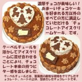 クリスマスハートチョコアイスケーキ［クリスマスケーキ クリスマスデコレーション クリスマスチョコケーキ］