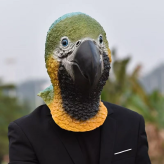オウム マスク ハロウィン 仮装 コスプレ 鳥マスク オウムマスク ヘッドマスク 被り物 鳥 動物 アニマル リアル 大人用 フリーサイズ 男女兼用 コスチューム 仮面 変装 パーティー イベント 撮影 小道具