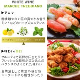 お歳暮 5000円 ワイン 紅白セット【無料 熨斗包装 メッセージカード】イタリア 赤ワイン サンジョヴェーゼ 白ワイン トレッビアーノ マルケ IGT 750ml 2本 おしゃれ 記念日 内祝 女性 男性 送料無料