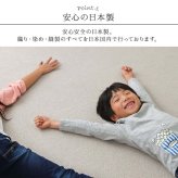 ラグ カーペット 日本 抗菌 消臭 清潔 オーダー 撥水 抗アレル物質 ダニ対策 無地 江戸間 8畳 約352×352cm