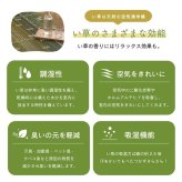 夏ラグ 夏用カーペット ラグ マット い草 ギャベ 自然素材 抗菌防臭 不織布 約60×180cm
