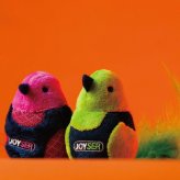ジョイサー JOYSER サウンドチップバード 猫用おもちゃ ピンク