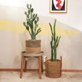 観葉植物 造花 ウチワサボテン BROWN 全高約100cm 中型 フェイクグリーン 本物そっくり おしゃれ インテリア 人工観葉植物 アーティフィシャルグリーン オフィス 店舗 ホテル 開店祝い 室内 サボテン オプンチア フェイク