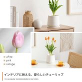 【高さ40cm】光触媒人工観葉植物 チューリップ 幅18cm×奥行18cm×高さ40cm お部屋に気軽に飾れて空間を美しく彩るフェイクグリーン 本物の生花のようなリアルな質感とインテリアに馴染む風合いが魅力です ホワイト ピンク オレンジ