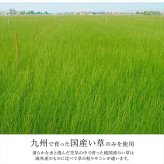 夏ラグ 夏用カーペット ラグ 長方形 国産 日本製 ナチュラルスタイル い草 消臭 抗菌防臭 滑り止め 防炎 市松 約140×200cm