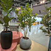 観葉植物 造花 レモンの木 BROWN 全高約220cm 大型 実付き フェイクグリーン 高級 本物そっくり リアル おしゃれ インテリア 人工観葉植物 アーティフィシャルグリーン シンボルツリー オフィス 店舗 カフェ 開店祝い 室内 リビング 玄関 風水 果樹 レモンツリー