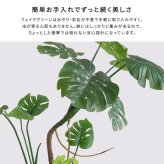 お手入れ簡単 フェイクグリーン モンステラ Lサイズ(180cm)