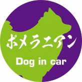 Dog in car ドッグインカー ステッカー カーステッカー ポメラニアン 毛筆書体 パープルグリーン シール 煽り運転対策 カーサイン