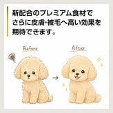 PURSUIT OF LOVE パシュートオブラブ ドッグフード 新もりもり ぼくらのげんきごはん 食べきりサイズ 40g