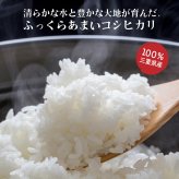 三重県産 コシヒカリ【内容量が選べる10kg~30kg】こしひかり 令和8年産 単一原料米 白米 精米 精白米 送料無料 精米工場からの直送品