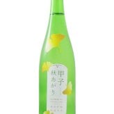 甲子 ( きのえね ) 純米吟醸 秋あがり 720ml  / 千葉県 飯沼本家【 9367 】【 日本酒 】【 ハロウィン 贈り物 ギフト プレゼント 誕生日 結婚のお祝い 】