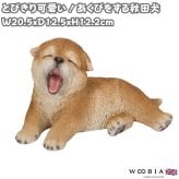 置物 woobia ウービア 日本犬 あくびをしている秋田犬 子犬 幅20.5cm 寝そべり 和風 リアル 本物そっくり イギリス生まれ 職人手彩色 縁起物 戌年 玄関 インテリア 新築祝い 引っ越し祝い 開店祝い 出産祝い 誕生日 お祝い ギフト プレゼント 犬好き 秋田犬好き