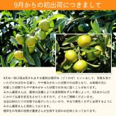 みかん 山北みかん くだもの畑 家庭用訳あり B品 高知産 約5kg 蜜柑 温州みかん 露地 小玉 小粒 中玉 大玉 果物 旬 ミカン 家庭用 甘くておいしい 高知県産 産地直送 産直 農家さんの手詰めミカン やみつきになる山北みかん【送料無料】