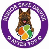 カーサイン 高齢者マーク SENIOR SAFE DRIVER 琉球犬 マグネット 強力 直径13cm 肉球 日本製 車 ステッカー