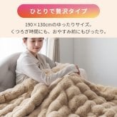 ふわとろ毛布 電気毛布 掛け敷き モコモコブランケット 極上ふわとろ 毛布ブランケット もこもこ ふわふわ シングル 即暖 保温 電気毛布 ひざ掛け シングル 電気ブランケット 洗える ふわもこ 2枚合わせ毛布 厚手 あったかい