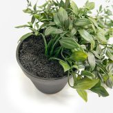 観葉植物 造花 フィカス シャングリラ BROWN 全長約74cm フェイクグリーン 高級 本物そっくり リアル おしゃれ 卓上 インテリア 人工観葉植物 アーティフィシャルグリーン 垂れ下がる つる オフィス 店舗 開店祝い 室内 リビング 玄関 トイレ 風水 フェイク