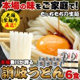 香川 讃岐 生うどん 2袋 鎌田醤油特製 だし醤油付き 讃岐うどん 麺 うどん 生 国産 小麦 ポスト投函便