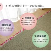 夏ラグ 夏用カーペット い草ラグカーペット かわいい花柄 『NSフレグランス』 約191×250cm （裏面:滑りにくい加工）