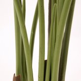観葉植物 造花 トラベラーズパーム BROWN 全高約155cm 大型 フェイクグリーン 本物そっくり おしゃれ インテリア 人工観葉植物 アーティフィシャルグリーン オフィス 店舗 ホテル 開店祝い 室内 旅人の木 タビビトノキ フェイク