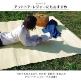 ラグ カーペット 洗える 日本製 国産 抗菌 防臭 消臭 アウトドア レジャー 敷物 和室 シンプル 江戸間6畳(約261×352cm)