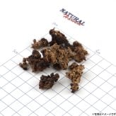 ナチュラルハーベスト NaturalHarvest 国産 北海道クリスプ エゾ鹿 犬用おやつ 20g
