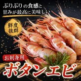 ホタテ・ボタンエビセット（ほたて ぼたん海老）お刺身で食べることも出来きる ぼたんえび 帆立 北海道 海鮮 セット 北海道 グルメ (ギフト)【送料無料※沖縄・離島除く】