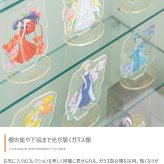 推し活 棚 推し活収納 卓上コレクションケース ディスプレイ収納 ショーケース コレクター シェルフ ガラス ラック キャビネット フィギュア プラモデル 飾る 飾り デスク 机 上 テーブル 奥行24 高さ60 幅40 新生活