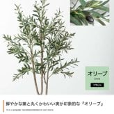【高さ170cm】光触媒人工観葉植物 オリーブ 幅70cm×奥行60cm×高さ170cm オフィス 天然木 ポリエステル 組立品 お部屋に気軽に飾れて空間を美しく彩るフェイクグリーン 本物の植物のようなリアルな質感とインテリアに馴染む風合いが魅力です
