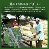 夏ラグ 夏用カーペット 籐 ラグ カーペット 自然素材 ひんやり インドネシア産 むしろ 本間3畳 約191×286cm 新生活