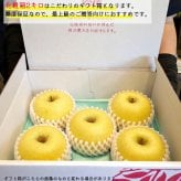 糖度12度保証 長野県産りんご シナノゴールド プレミアム ご贈答 果物 フルーツ お取り寄せ 産地直送 【送料無料(一部地域除く)】