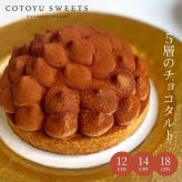 敬老の日 ハロウィン 御歳暮 お歳暮 早割 送料無料 チョコ好きさんのための5層のリッチチョコタルト 4号 12㎝ 2名〜4名様用 パーティー 大人 子供 記念日 お祝い 内祝い 出産祝い お礼 お返し 人気 お取り寄せ お菓子 ケーキ 送料無料 翌日お届け お取り寄せスイーツ TVで紹介 熨斗対応 パーソナルラッピング対応 詰め合わせ 高級 おしゃれ 可愛い 冷凍発送