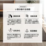 夏ラグ 夏用カーペット ラグ 小林製薬 持続性抗菌剤 KOBA-GUARD 制菌 抗菌防臭 滑り止め 不織布 夏 い草 グラデーション 約190×190cm