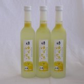 とろり果汁・果肉とお米のうまみが見事にコラボした ゆずとろ500ml(福島県)500ml×3本